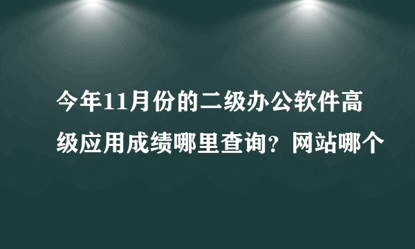 今年11月份的二级办公软件高级应用成绩哪里查询?网站哪个