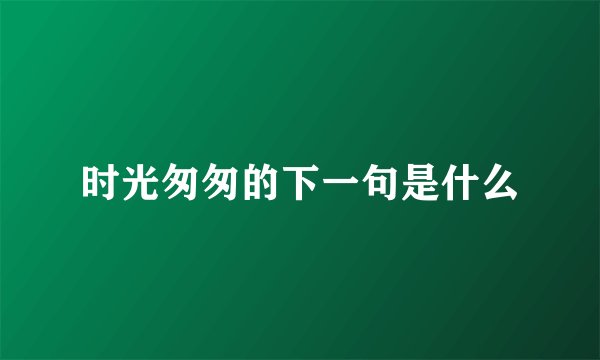 时光匆匆的下一句是什么