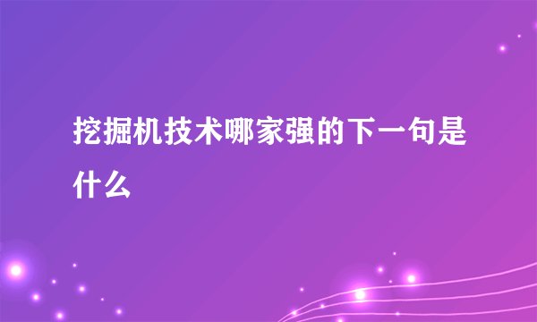 挖掘机技术哪家强的下一句是什么