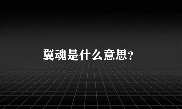 翼魂是什么意思？