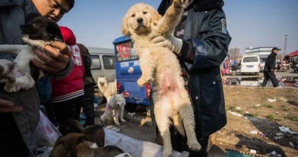 疫情揭穿不为人知的秘密,山东聊城一人白天