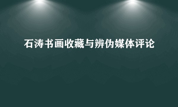 石涛书画收藏与辨伪媒体评论