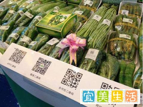80后白领辞职做“少庄主” 少庄主可不是那么好当的