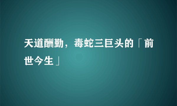 天道酬勤，毒蛇三巨头的「前世今生」
