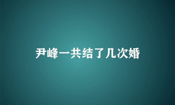 尹峰一共结了几次婚