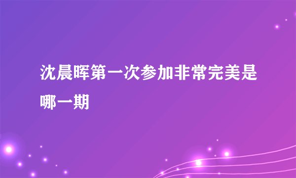 沈晨晖第一次参加非常完美是哪一期