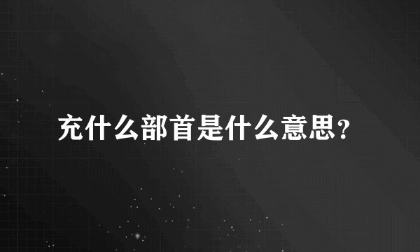 充什么部首是什么意思？