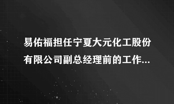 易佑福担任宁夏大元化工股份有限公司副总经理前的工作经历是什么?