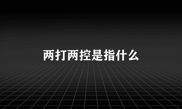 两打两控是指什么