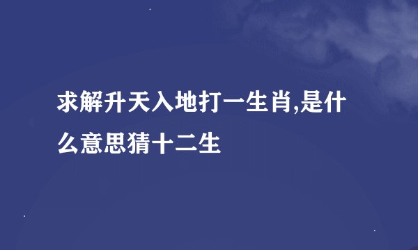 求解升天入地打一生肖,是什么意思猜十二生
