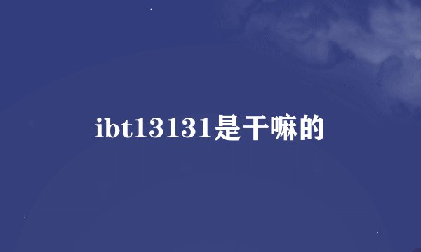 ibt13131是干嘛的