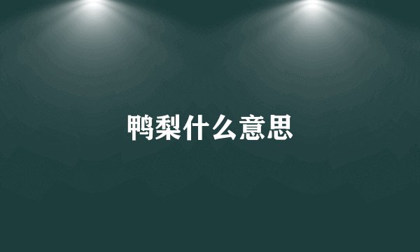 鸭梨什么意思
