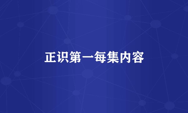 正识第一每集内容