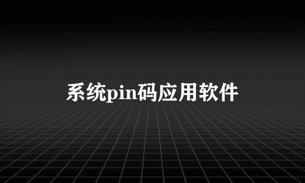 系统pin码应用软件