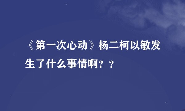 《第一次心动》杨二柯以敏发生了什么事情啊??