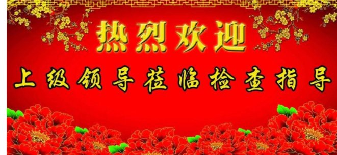 莅临参加是病句吗?