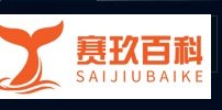 LOL英雄联盟卡兹克技能详细加点攻略