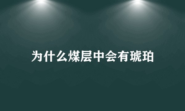 为什么煤层中会有琥珀