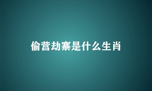 偷营劫寨是什么生肖