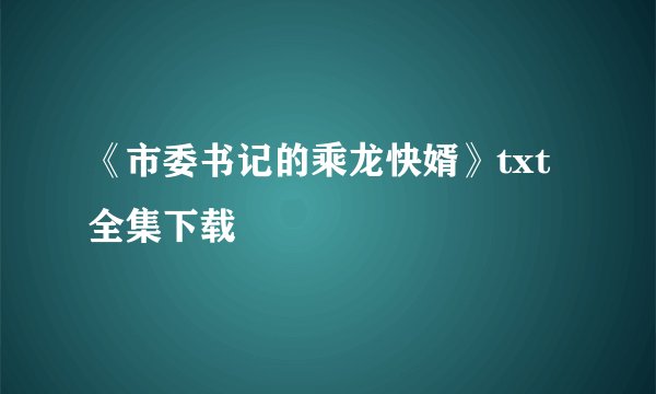 《市委书记的乘龙快婿》txt全集下载