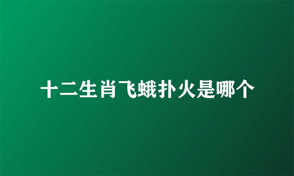 十二生肖飞蛾扑火是哪个