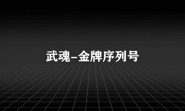武魂-金牌序列号