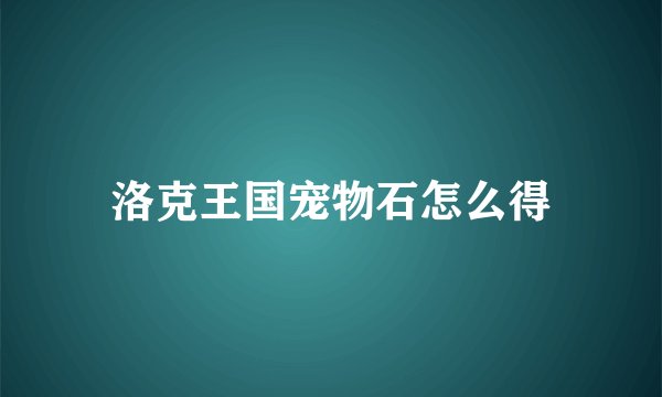 洛克王国宠物石怎么得