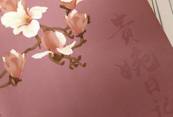 贵婉日记剧情介绍