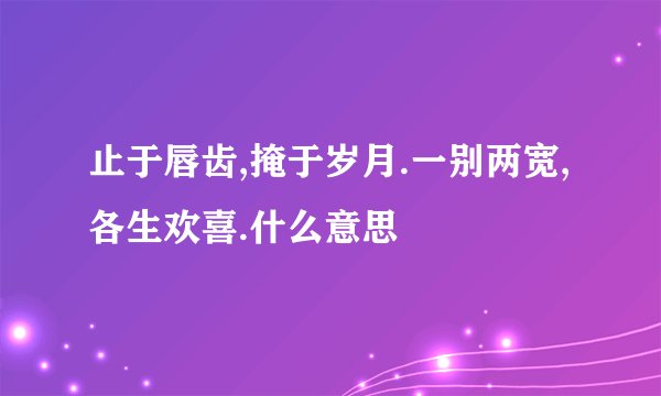 止于唇齿,掩于岁月.一别两宽,各生欢喜.什么意思