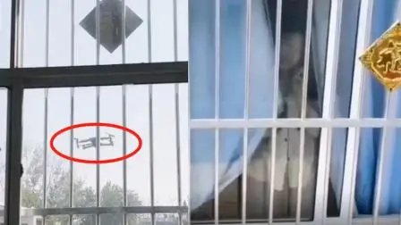 真朋友！女子未回微信朋友飞无人机探查，这名女子究竟怎么了？