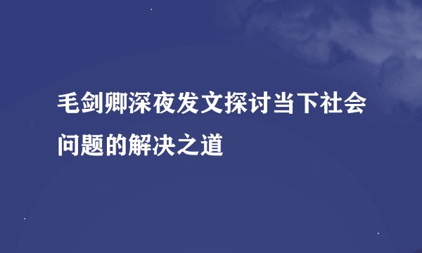 毛剑卿深夜发文探讨当下社会问题的解决之道
