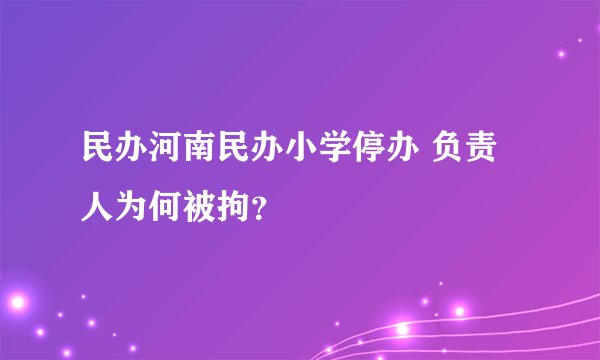 民办河南民办小学停办 负责人为何被拘？