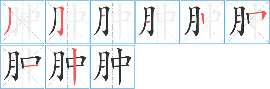 肿的组词和部首