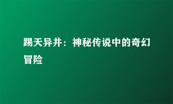 踢天异井：神秘传说中的奇幻冒险