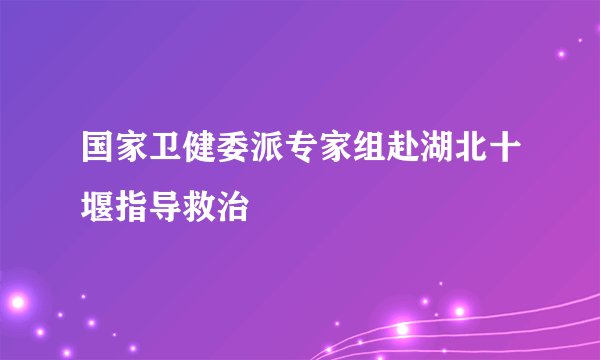 国家卫健委派专家组赴湖北十堰指导救治