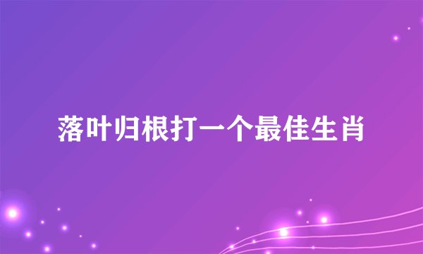 落叶归根打一个最佳生肖