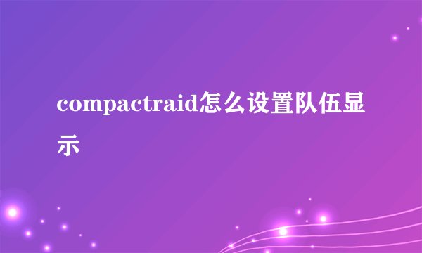 compactraid怎么设置队伍显示