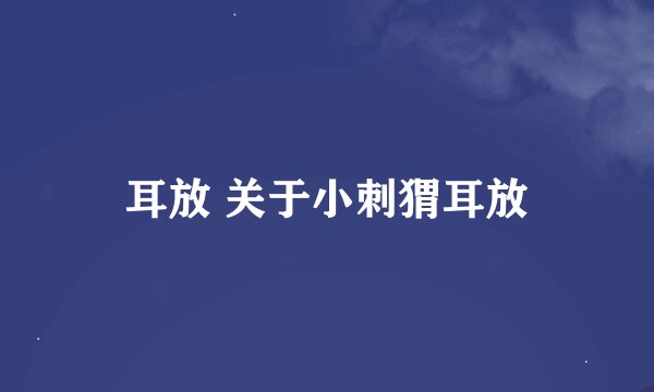 耳放 关于小刺猬耳放