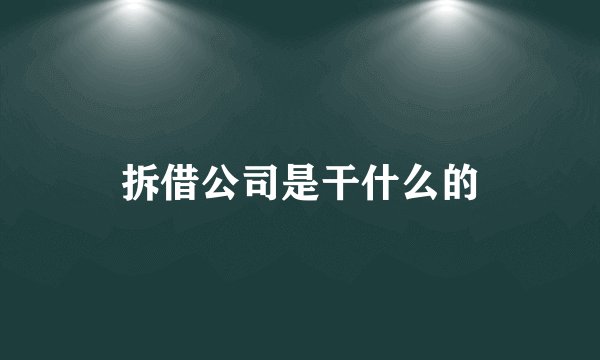 拆借公司是干什么的