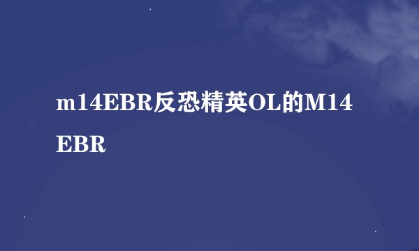 m14EBR反恐精英OL的M14 EBR