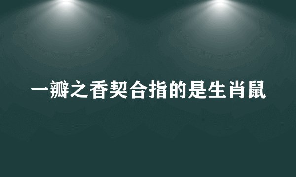 一瓣之香契合指的是生肖鼠