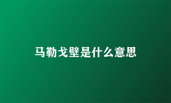 马勒戈壁是什么意思
