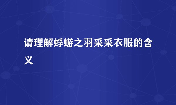 请理解蜉蝣之羽采采衣服的含义