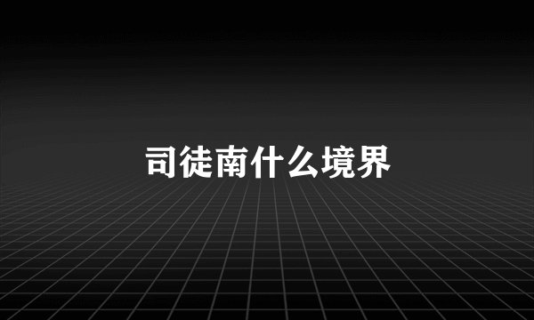 司徒南什么境界