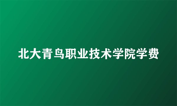 北大青鸟职业技术学院学费
