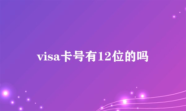 visa卡号有12位的吗