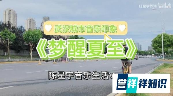 陈星宇作品【梦醒夏至】中岛美雪《飞快离去的夏天（ 过ぎゆく夏 ）》中文版