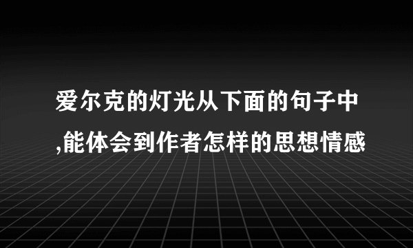 爱尔克的灯光从下面的句子中,能体会到作者怎样的思想情感