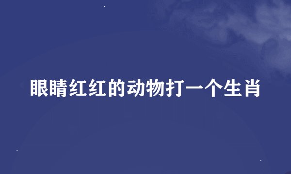 眼睛红红的动物打一个生肖