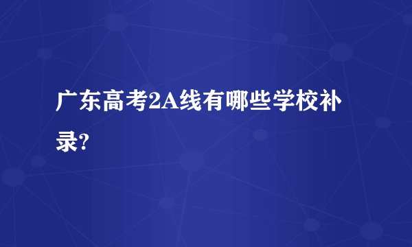 广东高考2A线有哪些学校补录?